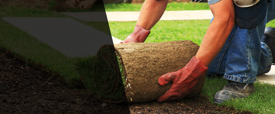 Tellico Plains Landscapers